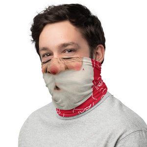 “SANTA BABY”